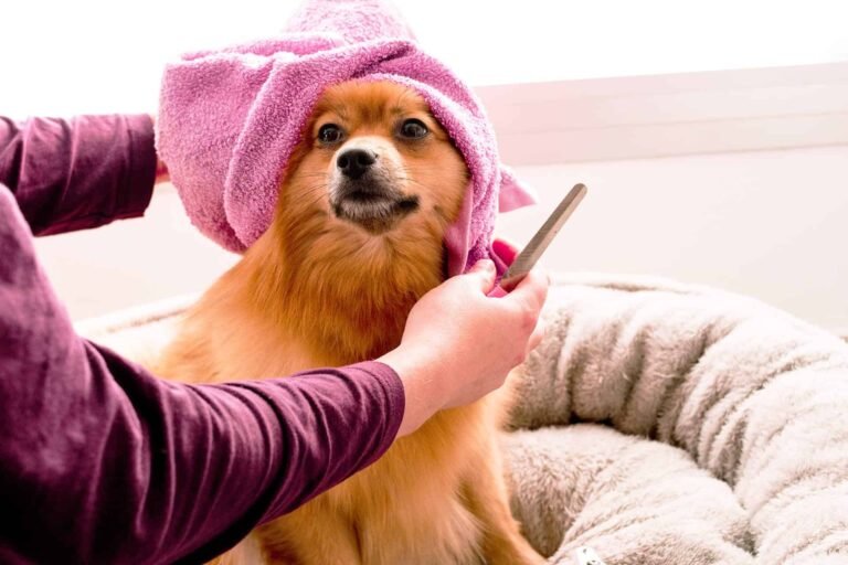 Structuring Your Ten Minute Training Session